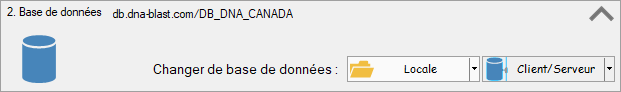Section Base de données